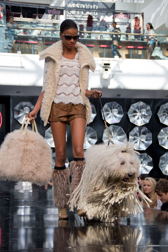 Fur and coats trend