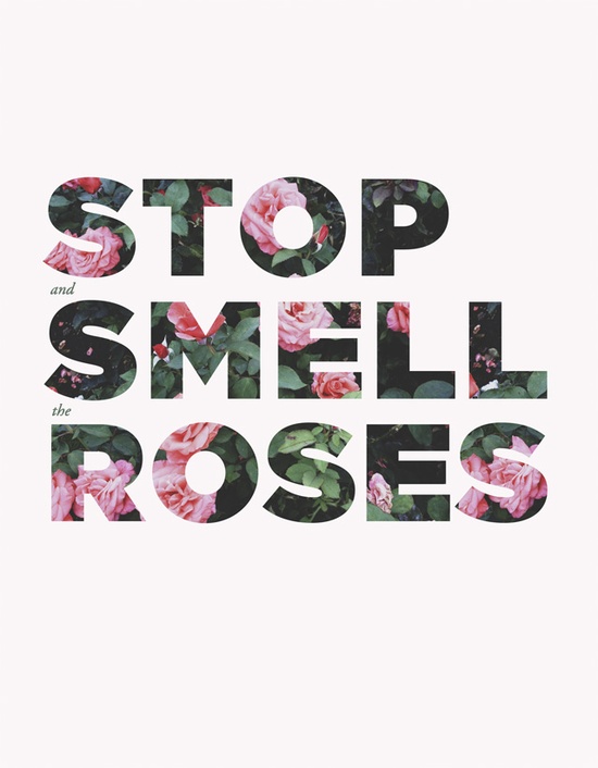 Stop smell roses